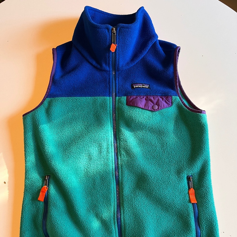 Patagonia Synchilla Vest